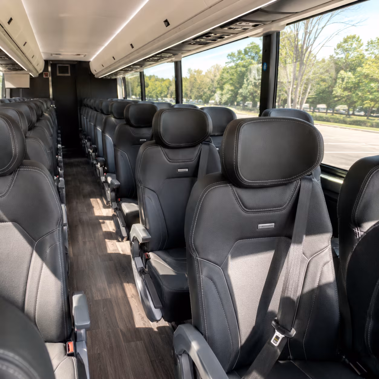 phoenix birthday party transportation onboard seating