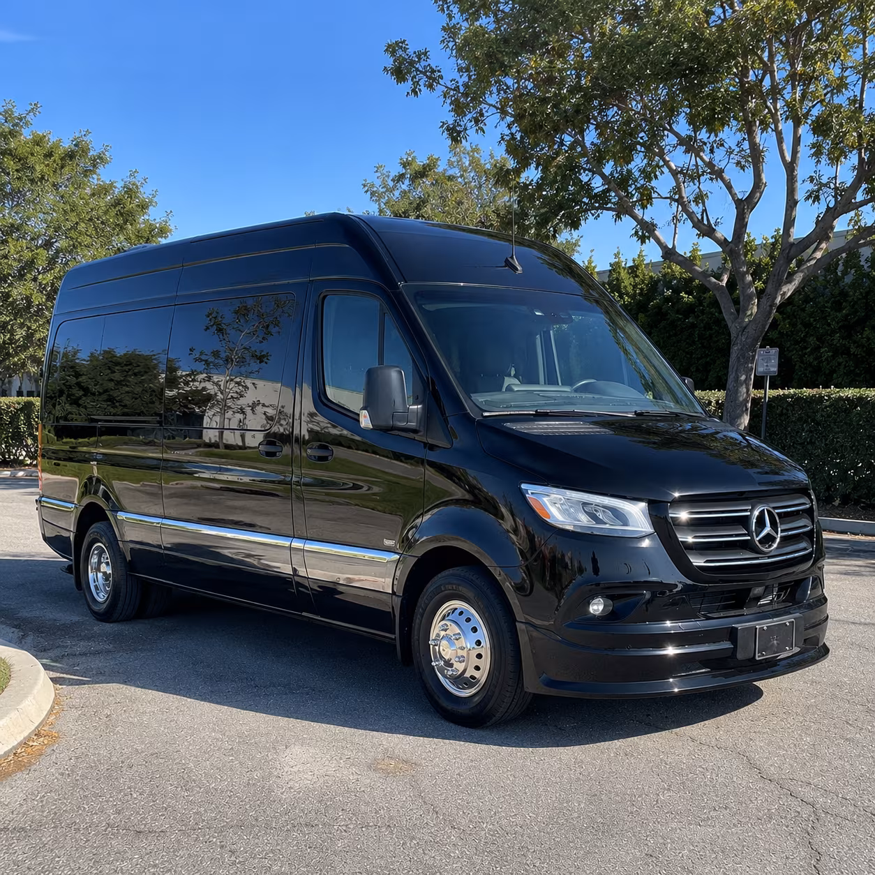 Phoenix Prom Transportation